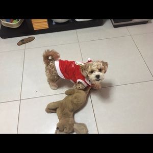 Meet your Posher, Aron